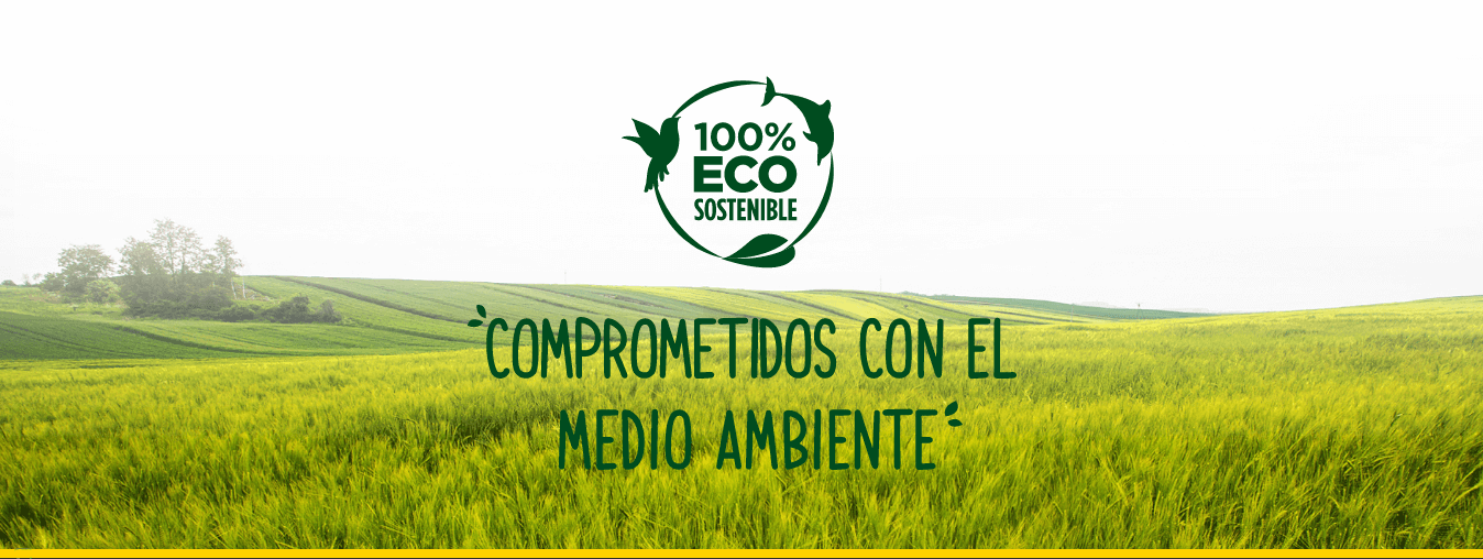 Que son los Productos ecosostenibles Mash