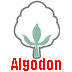 El Algodon