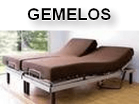 Gemelo