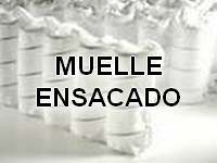 Ensacado
